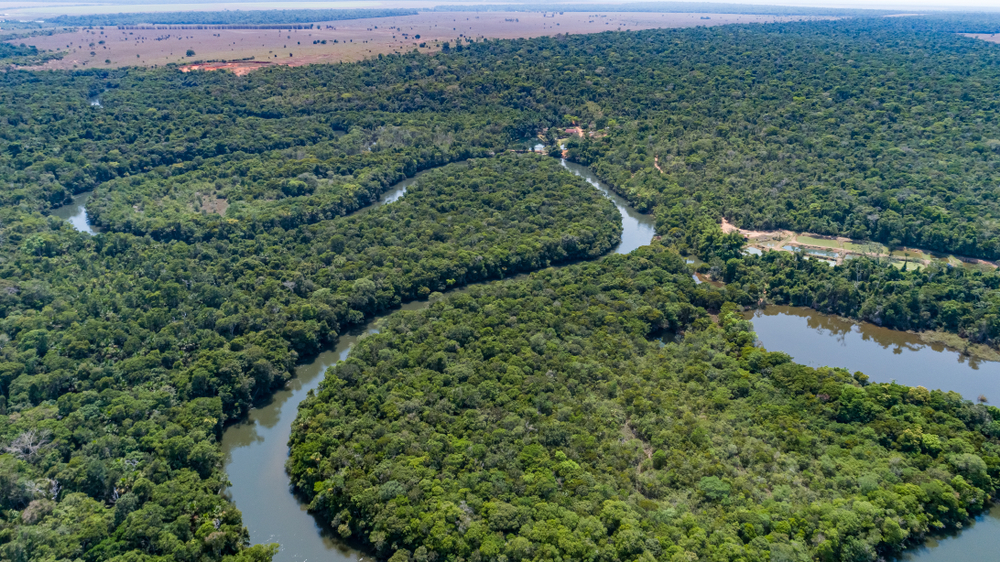 Un tiers de la forêt amazonienne dégradée par ls humains et la sécheresse