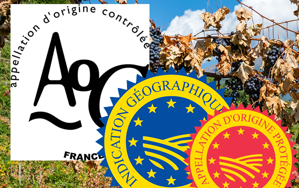 Quel avenir pour les AOP, AOC et IGP face au changement climatique ?